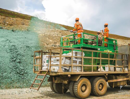 Weda Bay Nickel Strengthens Mine Reclamation and Revegetation Efforts to Support Environmental Restoration